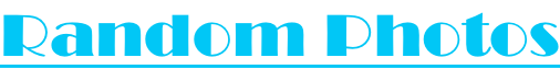 Random Photos